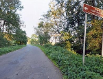 grafika